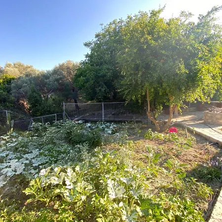 Apartament Daskalogianni