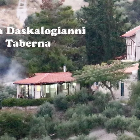 Daire Daskalogianni *